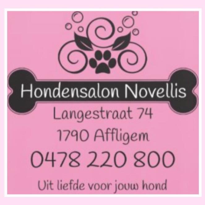 50537 (1)